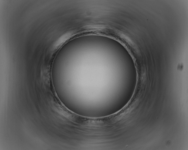 X0000093571354200710151119