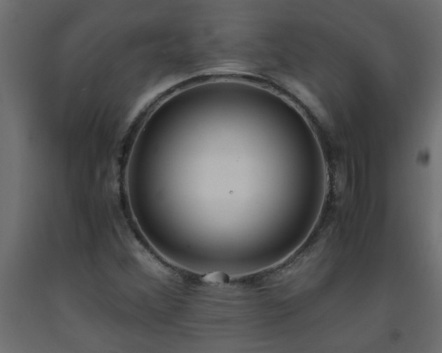 X0000093571356200710151119