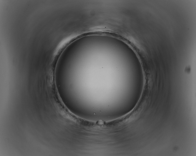 X0000093571358200710151119