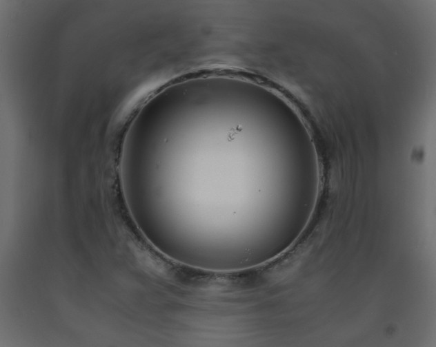 X0000093571359200710151119