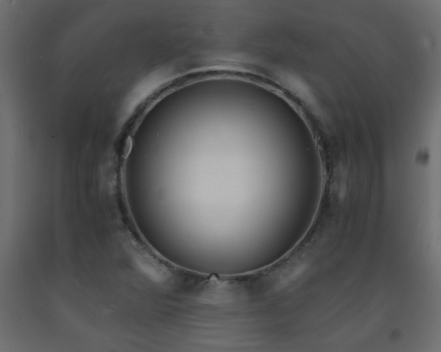 X0000093571360200710151119