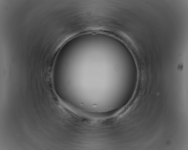 X0000093571361200710151119