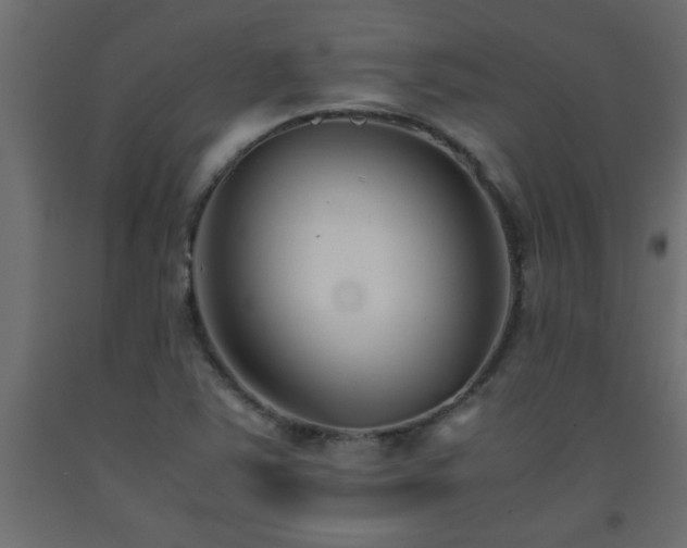 X0000093571363200710151119