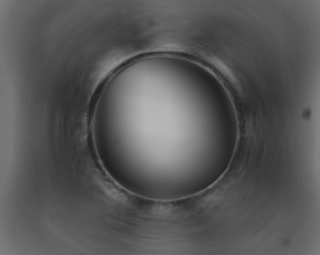 X0000093571364200710151119