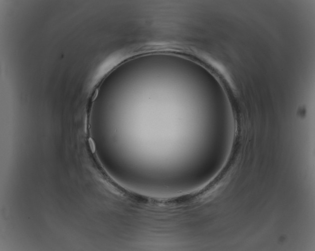 X0000093571365200710151119