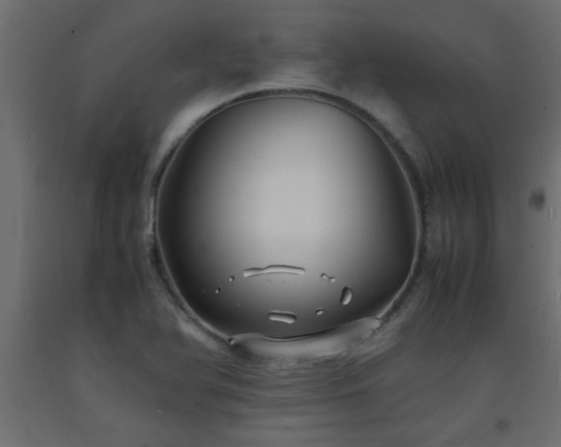 X0000093571366200710151119