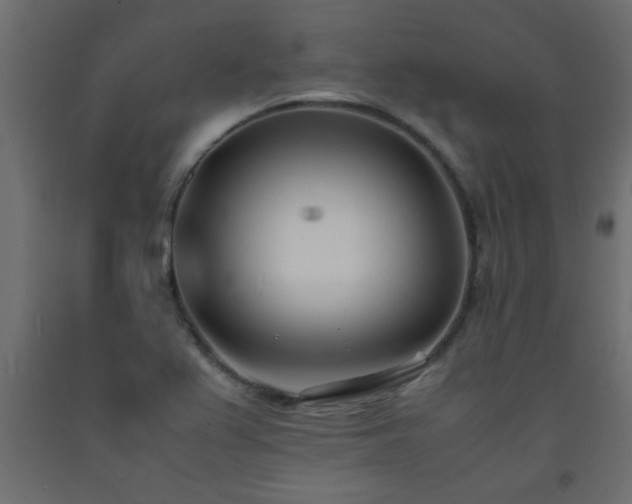 X0000093571367200710151119