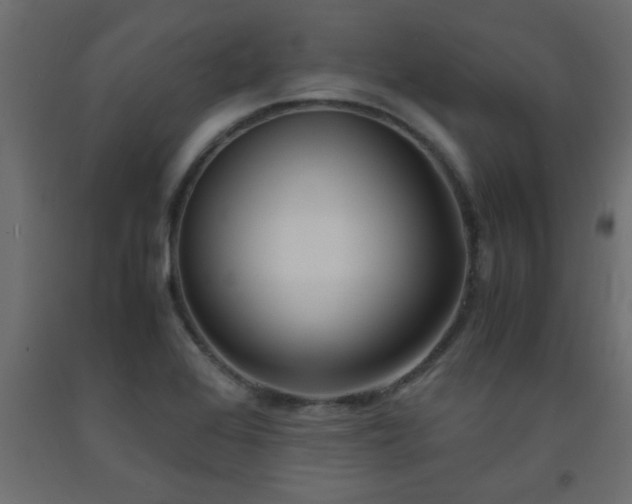 X0000093571368200710151119