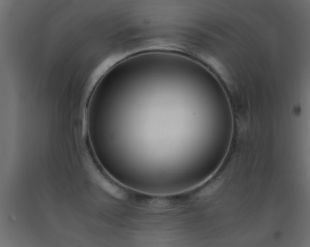 X0000093571371200710151119