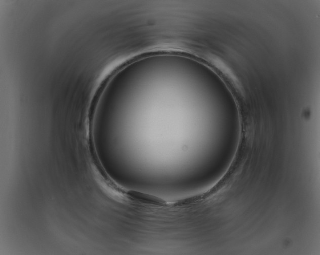 X0000093571372200710151119