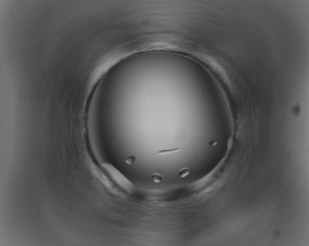 X0000093571373200710151119