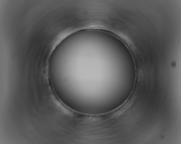 X0000093571374200710151119