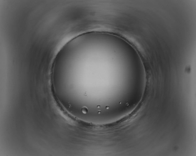 X0000093571375200710151119