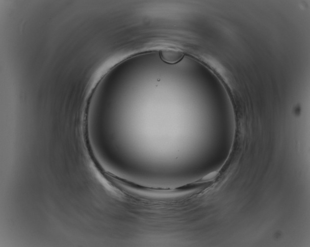 X0000093571379200710151119