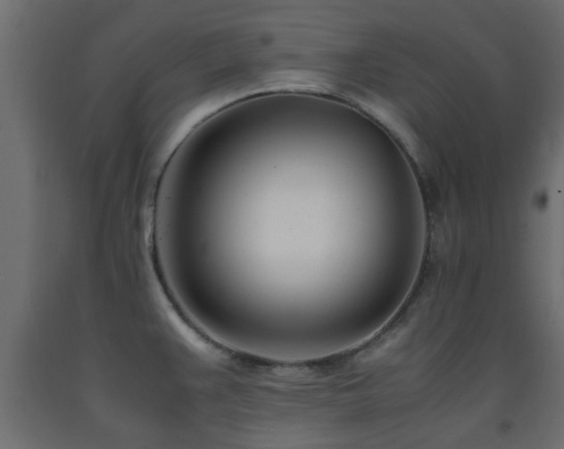 X0000093571383200710151119