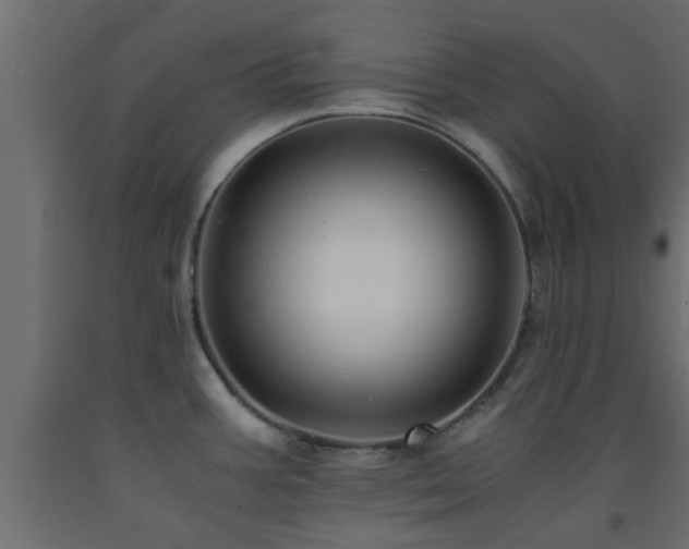 X0000093571387200710151119