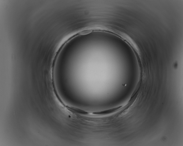 X0000093571388200710151119