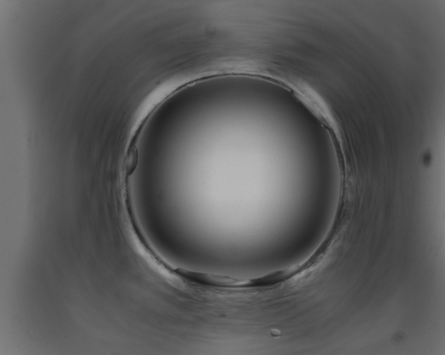 X0000093571389200710151119