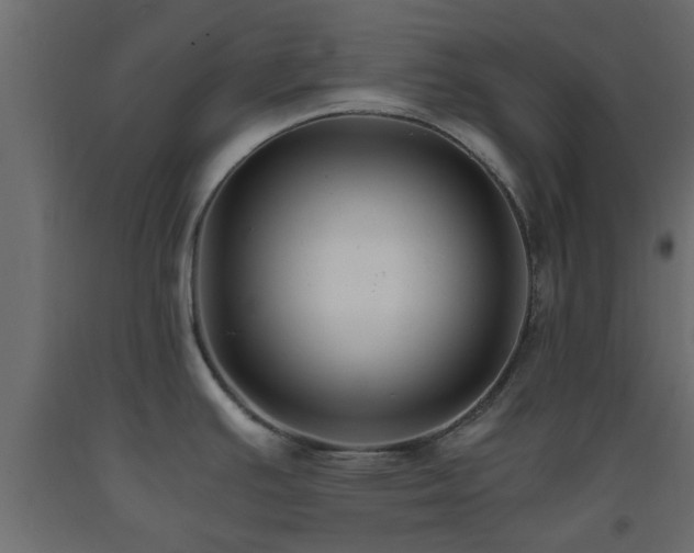 X0000093571391200710151119