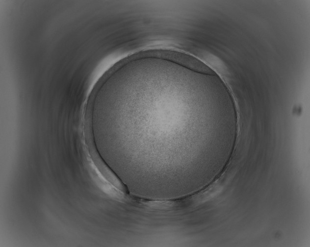 X0000093571392200710151119