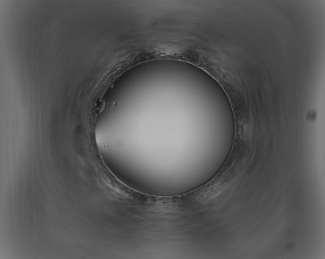 X0000093571393200710151118