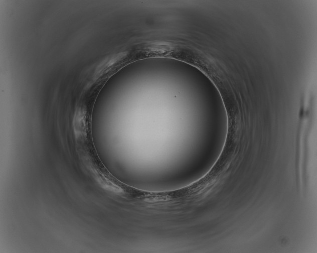 X0000093571394200710151118