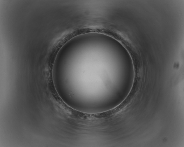X0000093571398200710151118