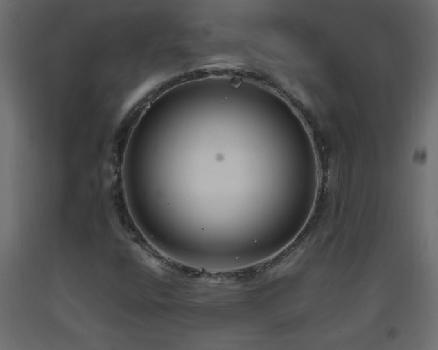 X0000093571400200710151118