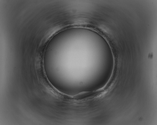 X0000093571401200710151118
