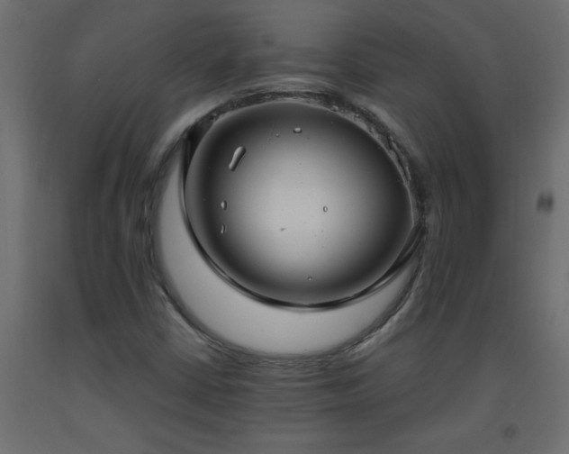 X0000093571402200710151118