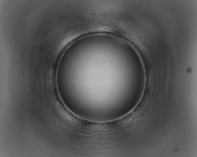 X0000093571404200710151118