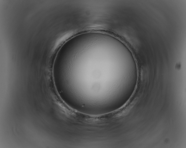 X0000093571405200710151118