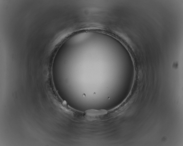 X0000093571407200710151118