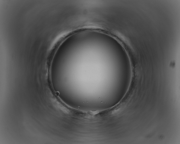 X0000093571408200710151118