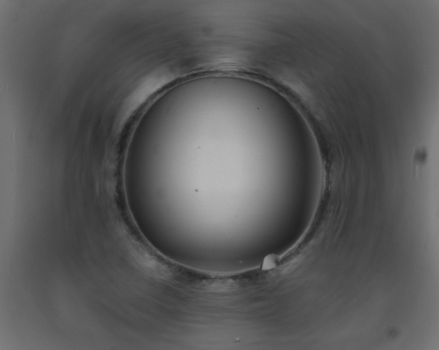 X0000093571410200710151118
