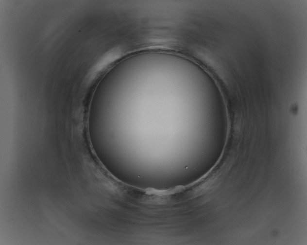 X0000093571411200710151118