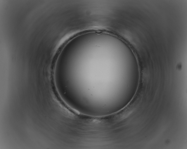 X0000093571412200710151118