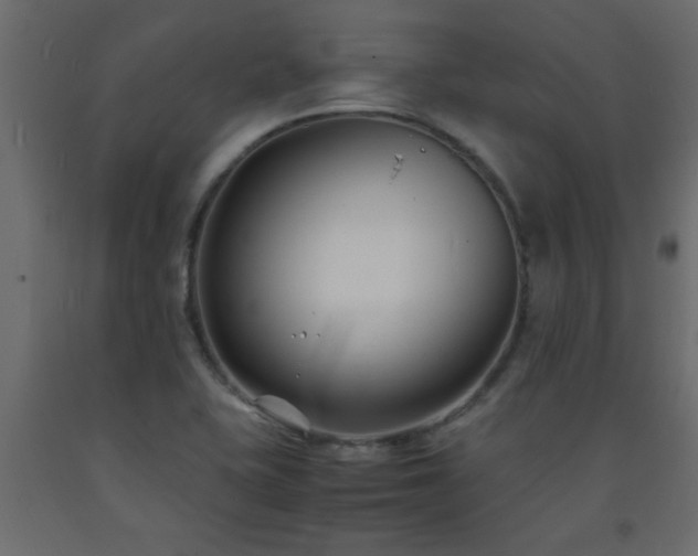X0000093571415200710151118