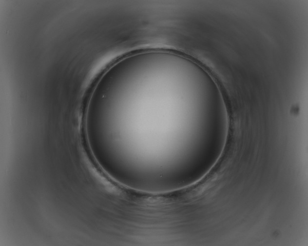 X0000093571416200710151118