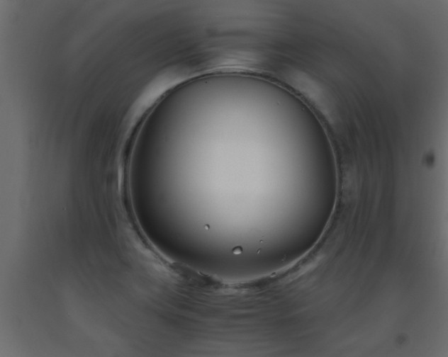 X0000093571419200710151118