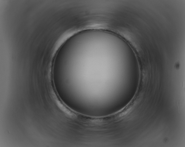 X0000093571421200710151118