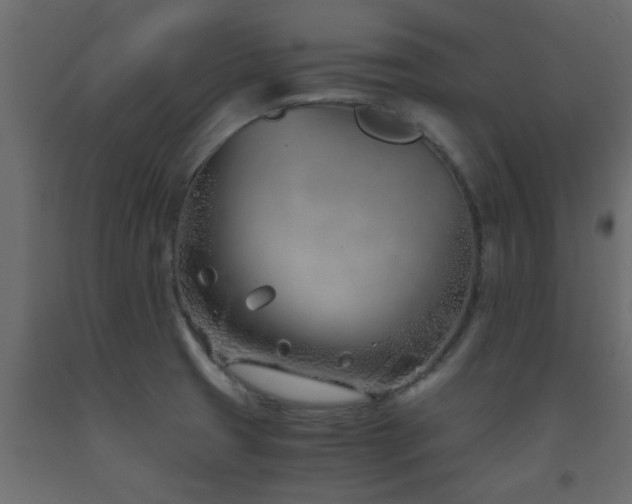 X0000093571425200710151118