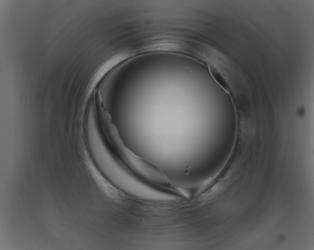 X0000093571426200710151118