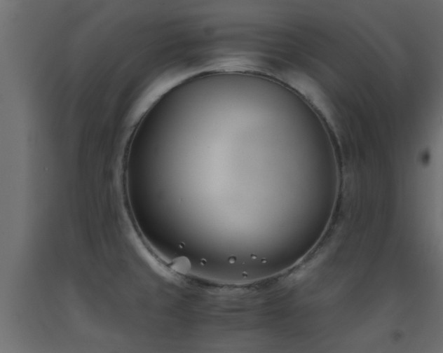 X0000093571429200710151118