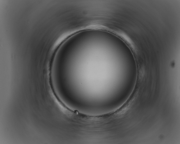 X0000093571430200710151118
