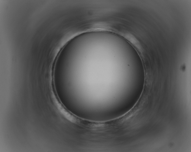 X0000093571431200710151118