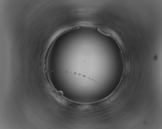 X0000093571435200710151118