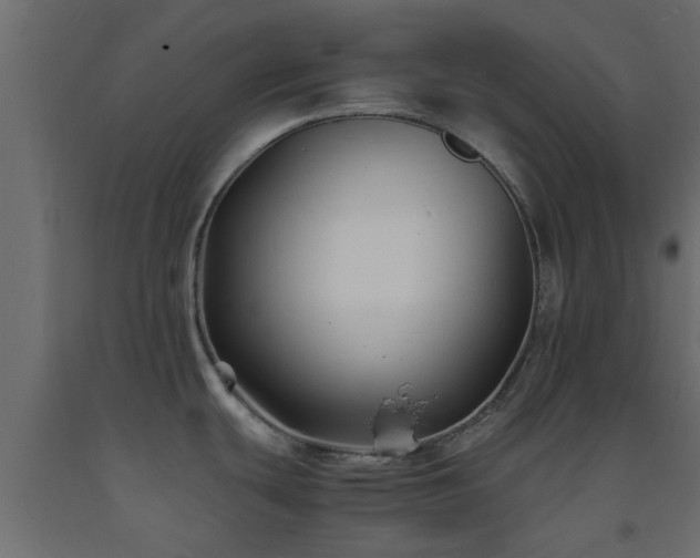 X0000093571439200710151119