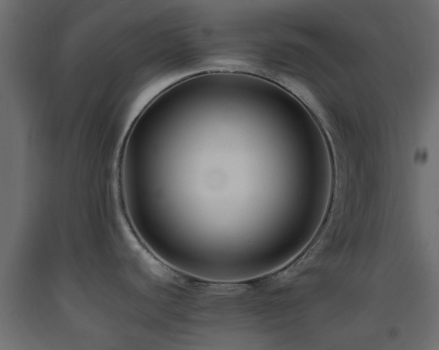 X0000093571440200710151119