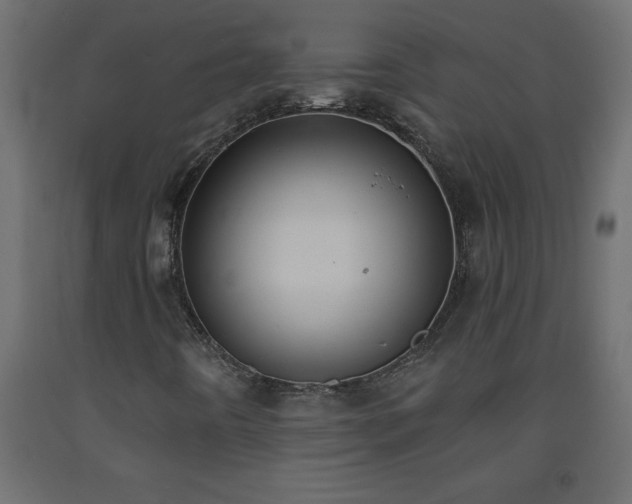 X0000093571442200710151118